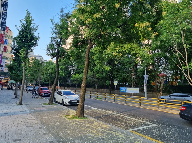 작명소 건물 앞 대로변